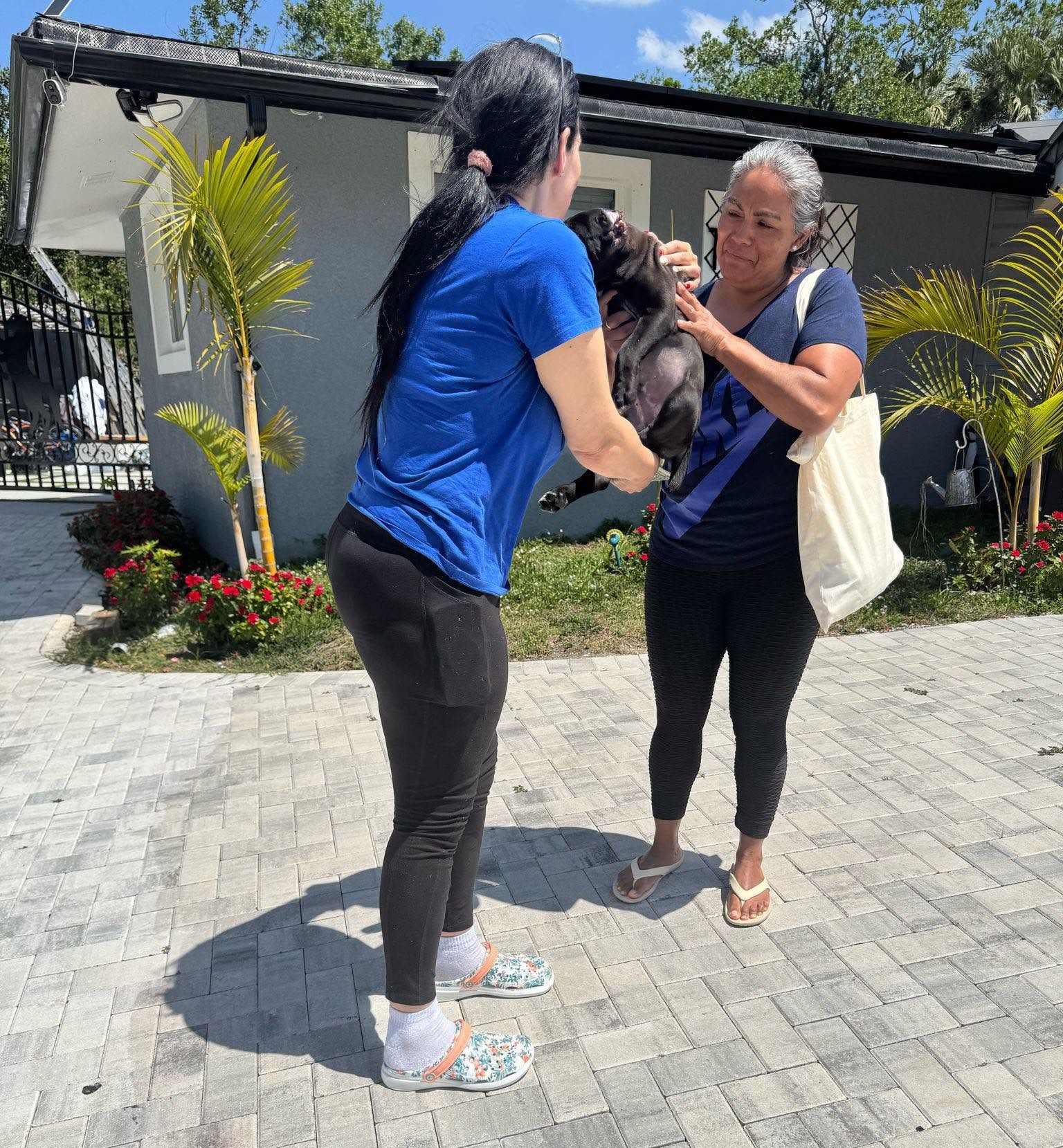 A Miles For Smiles transporter handing a small black puppy to a happy pet parent at her front door
